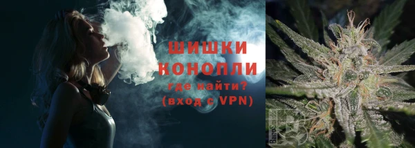apvp Белокуриха