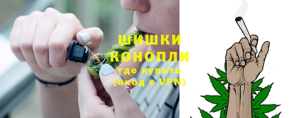 apvp Белокуриха